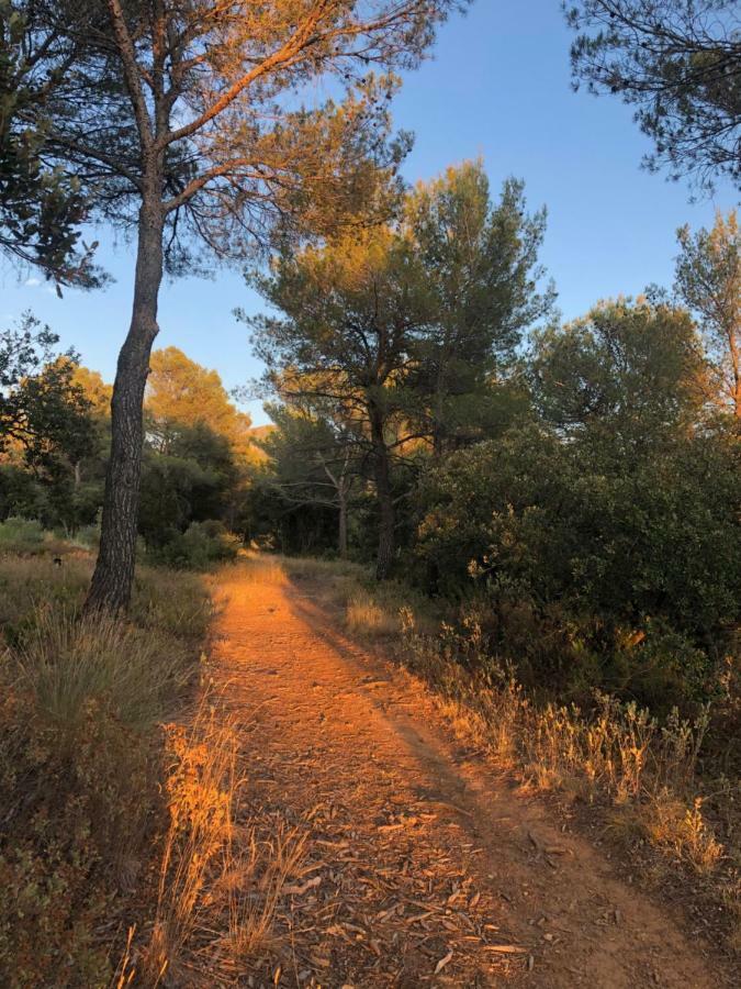 Gasthuis Les Cabanons Sainte Victoire