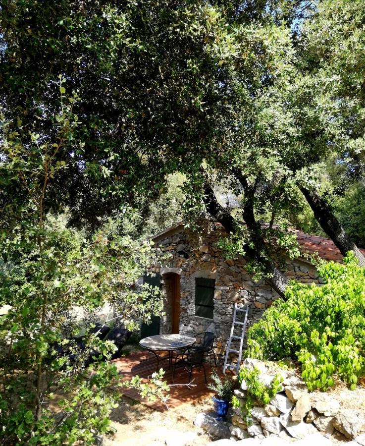 Les Cabanons Sainte Victoire Affittacamere Saint-Marc-Jaumegarde